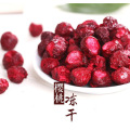 Fd Freeze Dried Cherry From China, Healthy Snack